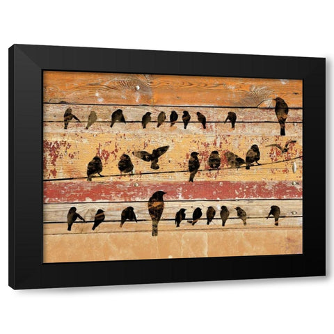 Birds on Wood V Black Modern Wood Framed Art Print with Double Matting by Orlov, Irena