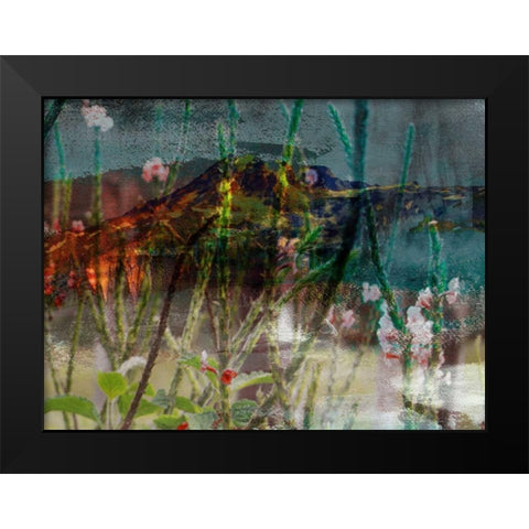 Mountain Wildflowers I Black Modern Wood Framed Art Print by Jasper, Sisa