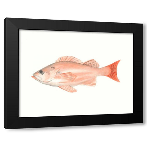 Watercolor Deep Sea Fish I Black Modern Wood Framed Art Print by McCavitt, Naomi