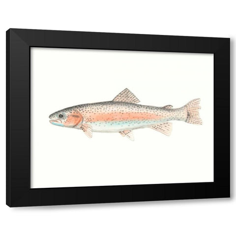 Watercolor Deep Sea Fish II Black Modern Wood Framed Art Print by McCavitt, Naomi