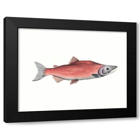 Watercolor Deep Sea Fish III Black Modern Wood Framed Art Print by McCavitt, Naomi