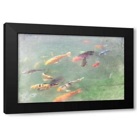 Koi Reflections I Black Modern Wood Framed Art Print by Ludwig, Alicia