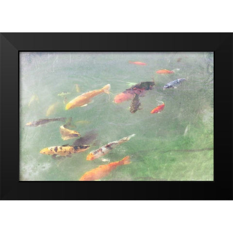 Koi Reflections I Black Modern Wood Framed Art Print by Ludwig, Alicia