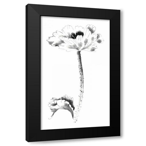 Ink Poppy Black Modern Wood Framed Art Print with Double Matting by Rae, Nan