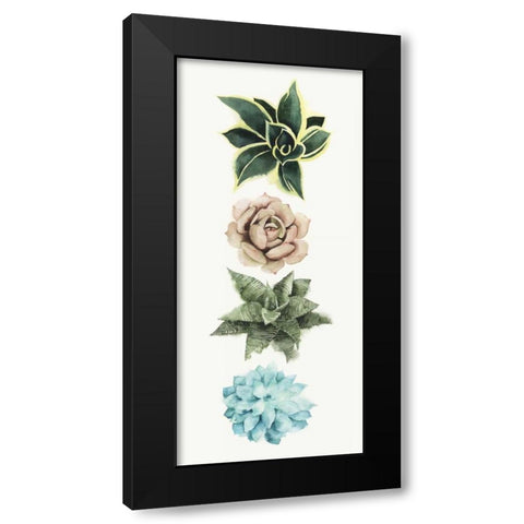 Row of Succulents I Black Modern Wood Framed Art Print with Double Matting by Popp, Grace