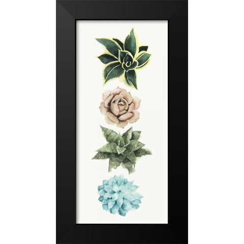 Row of Succulents I Black Modern Wood Framed Art Print by Popp, Grace