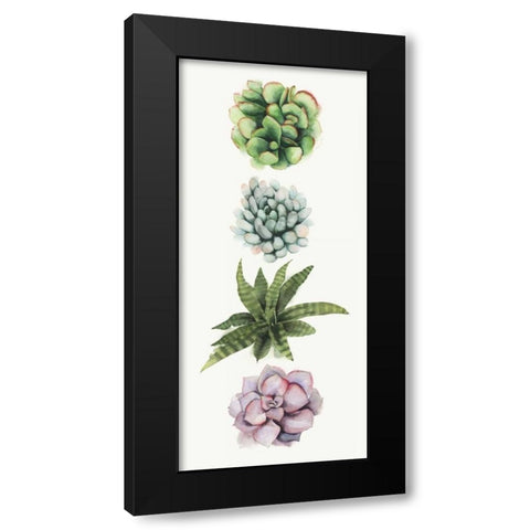 Row of Succulents II Black Modern Wood Framed Art Print with Double Matting by Popp, Grace