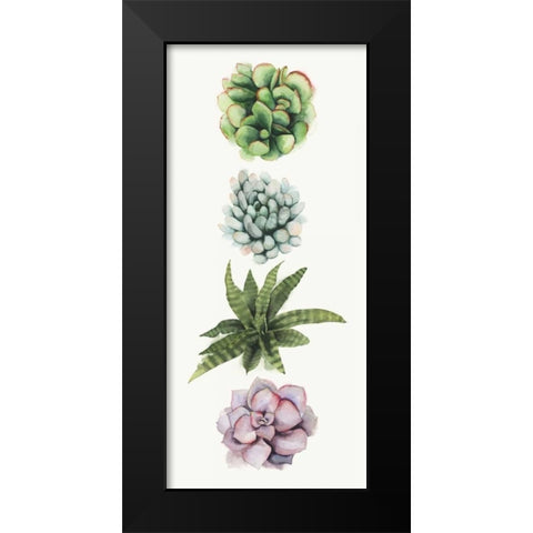 Row of Succulents II Black Modern Wood Framed Art Print by Popp, Grace