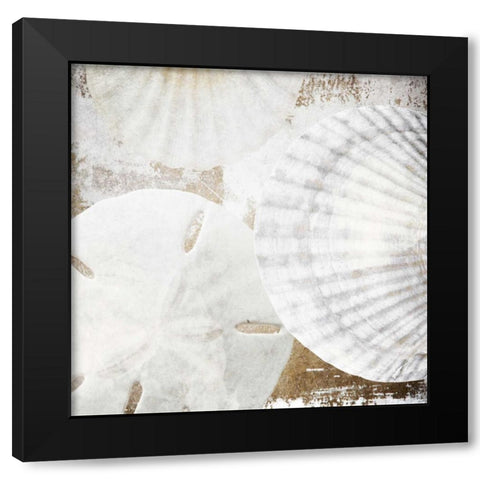 White Shells II Black Modern Wood Framed Art Print with Double Matting by Orlov, Irena