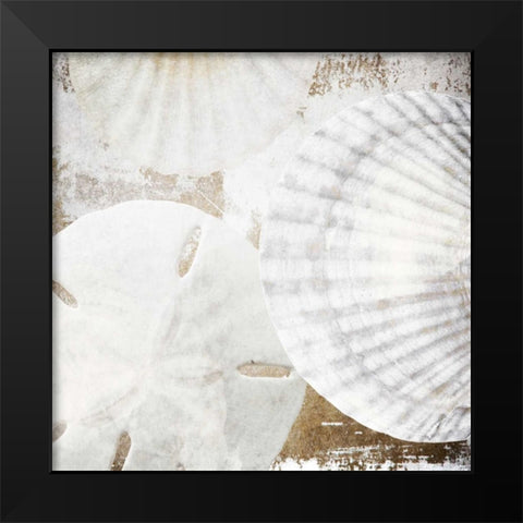 White Shells II Black Modern Wood Framed Art Print by Orlov, Irena