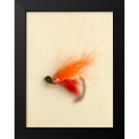 Macro Lure II Black Modern Wood Framed Art Print by Stalus, Judy