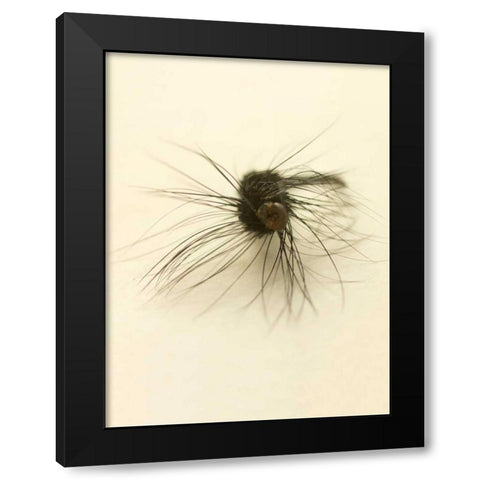 Macro Lure III Black Modern Wood Framed Art Print with Double Matting by Stalus, Judy