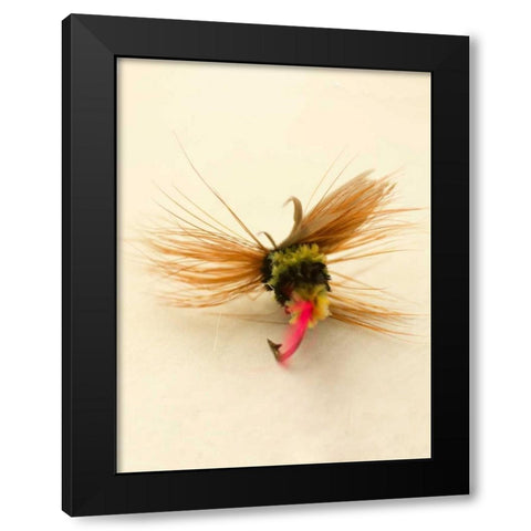 Macro Lure IV Black Modern Wood Framed Art Print with Double Matting by Stalus, Judy
