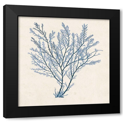 Indigo Algae II Black Modern Wood Framed Art Print with Double Matting by Goldberger, Jennifer