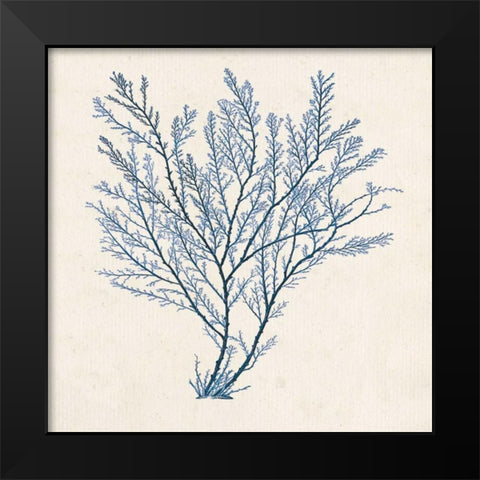 Indigo Algae II Black Modern Wood Framed Art Print by Goldberger, Jennifer