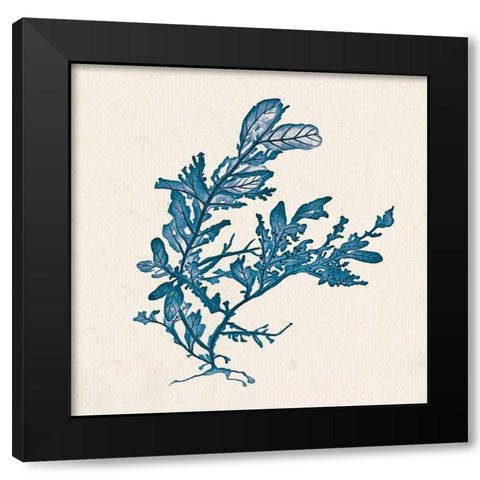Indigo Algae III Black Modern Wood Framed Art Print by Goldberger, Jennifer