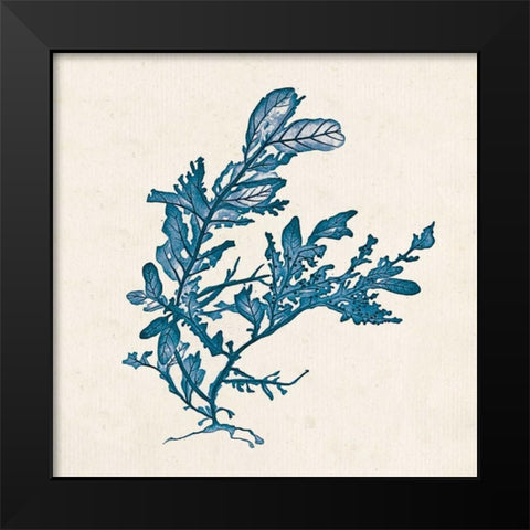 Indigo Algae III Black Modern Wood Framed Art Print by Goldberger, Jennifer
