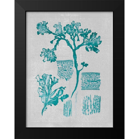 Teal Coral I Black Modern Wood Framed Art Print by Goldberger, Jennifer