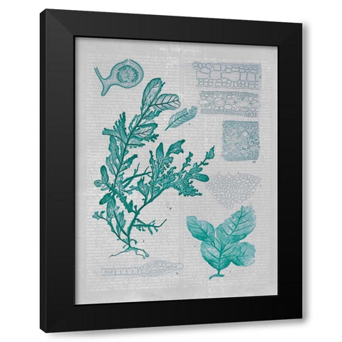 Teal Coral II Black Modern Wood Framed Art Print by Goldberger, Jennifer