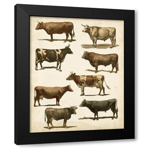 Antique Cow Chart Black Modern Wood Framed Art Print with Double Matting by Vision Studio