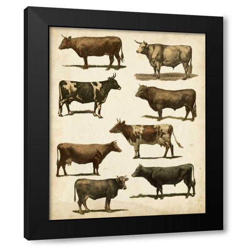 Antique Cow Chart Black Modern Wood Framed Art Print with Double Matting by Vision Studio