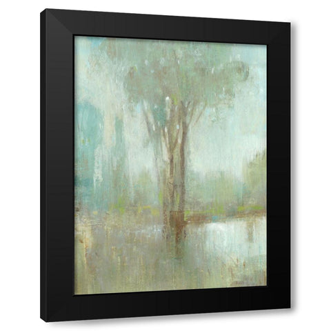 Mist in the Glen I Black Modern Wood Framed Art Print with Double Matting by OToole, Tim