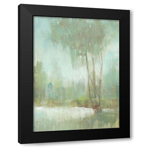 Mist in the Glen II Black Modern Wood Framed Art Print with Double Matting by OToole, Tim