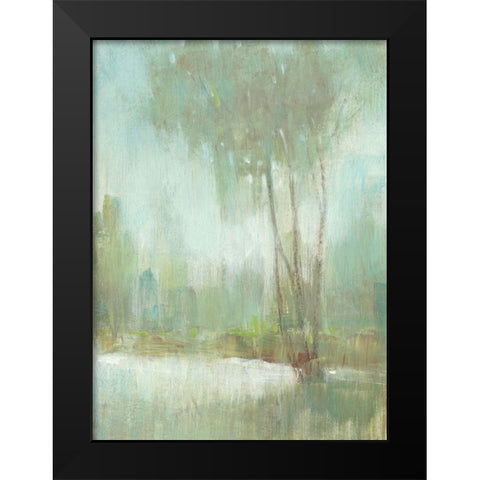 Mist in the Glen II Black Modern Wood Framed Art Print by OToole, Tim