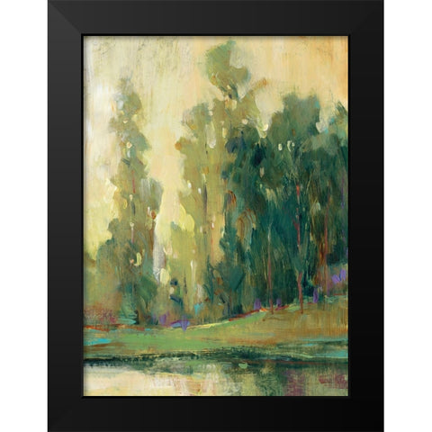 Fishing Spot I Black Modern Wood Framed Art Print by OToole, Tim