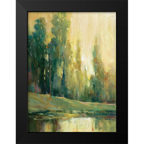 Fishing Spot II Black Modern Wood Framed Art Print by OToole, Tim