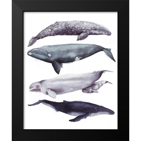 Whale Stack I Black Modern Wood Framed Art Print by Popp, Grace