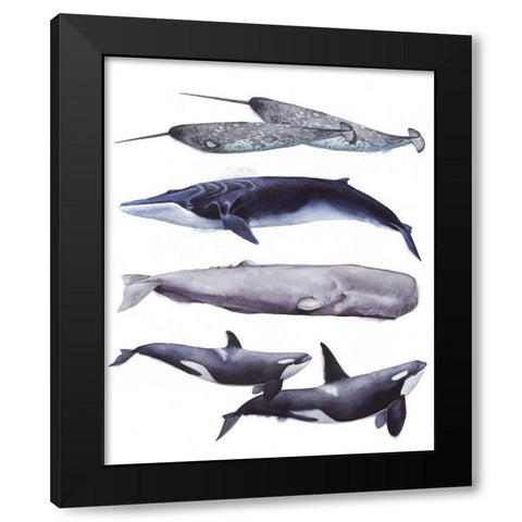 Whale Stack II Black Modern Wood Framed Art Print by Popp, Grace