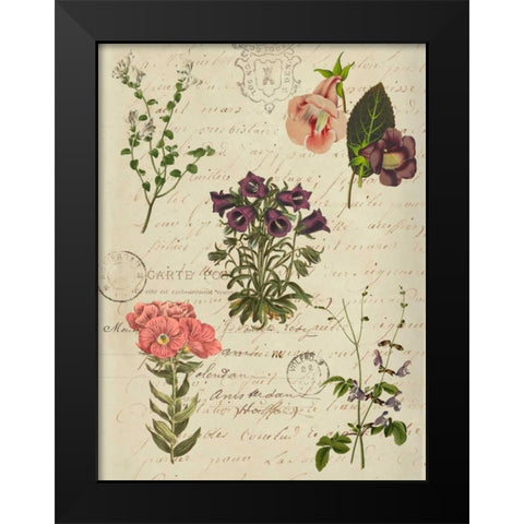 Postscript Flower Chart II Black Modern Wood Framed Art Print by Goldberger, Jennifer