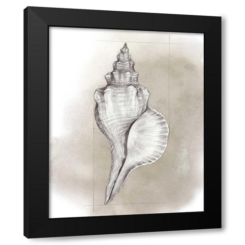 Shell Diagram I Black Modern Wood Framed Art Print with Double Matting by Popp, Grace