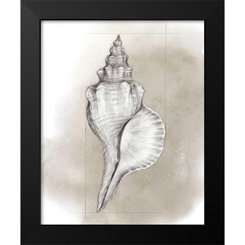 Shell Diagram I Black Modern Wood Framed Art Print by Popp, Grace