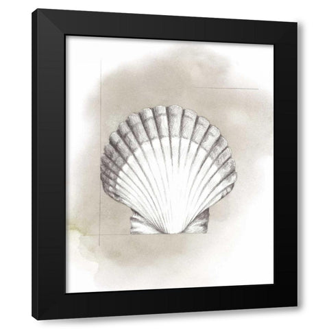 Shell Diagram II Black Modern Wood Framed Art Print with Double Matting by Popp, Grace