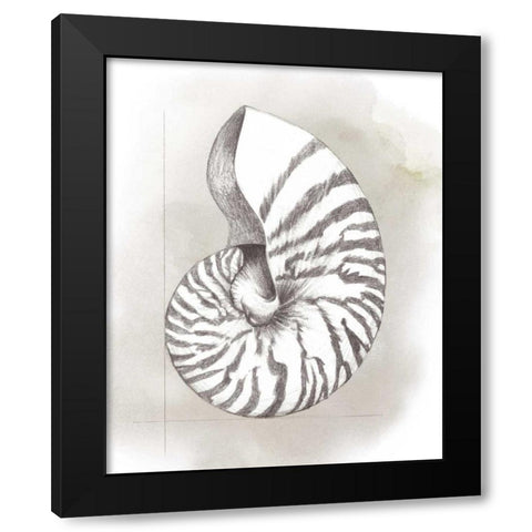 Shell Diagram III Black Modern Wood Framed Art Print with Double Matting by Popp, Grace