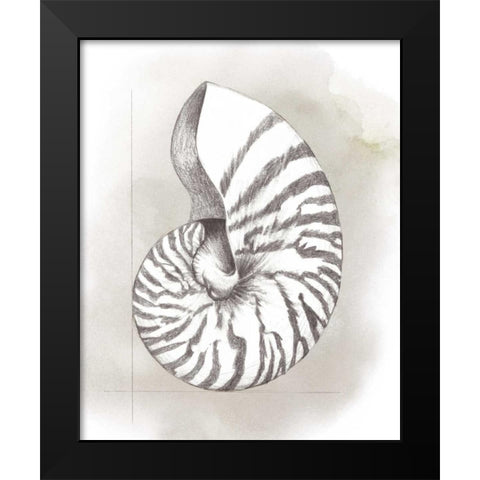 Shell Diagram III Black Modern Wood Framed Art Print by Popp, Grace