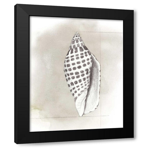 Shell Diagram IV Black Modern Wood Framed Art Print with Double Matting by Popp, Grace