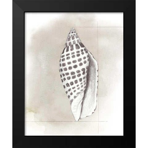 Shell Diagram IV Black Modern Wood Framed Art Print by Popp, Grace