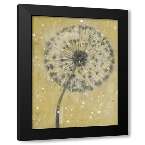 Dandelion Abstract I Black Modern Wood Framed Art Print with Double Matting by OToole, Tim