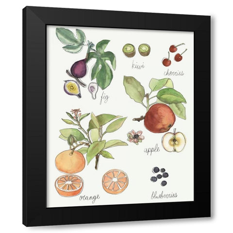 Fruit Medley I Black Modern Wood Framed Art Print by McCavitt, Naomi