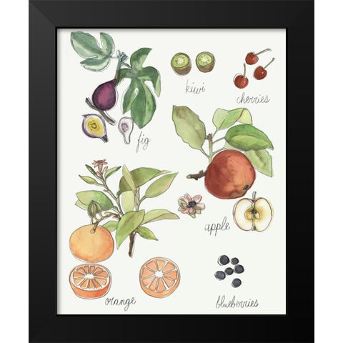 Fruit Medley I Black Modern Wood Framed Art Print by McCavitt, Naomi