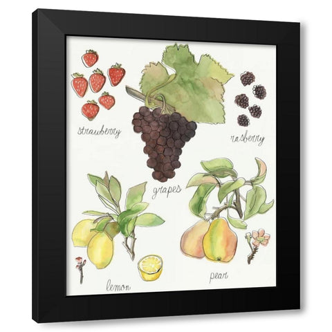 Fruit Medley II Black Modern Wood Framed Art Print by McCavitt, Naomi