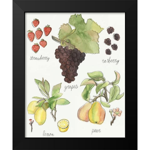 Fruit Medley II Black Modern Wood Framed Art Print by McCavitt, Naomi