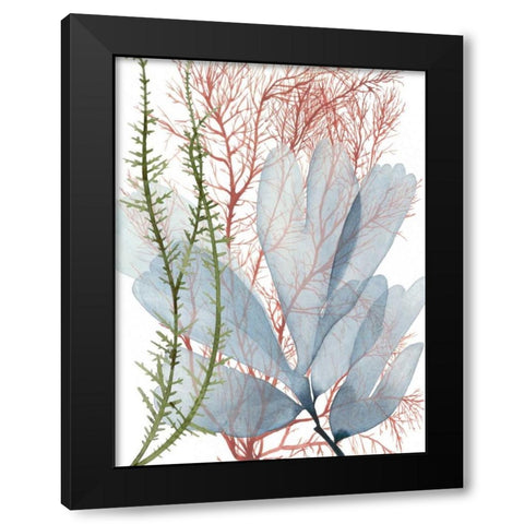 Seaweed Flow I Black Modern Wood Framed Art Print with Double Matting by Popp, Grace