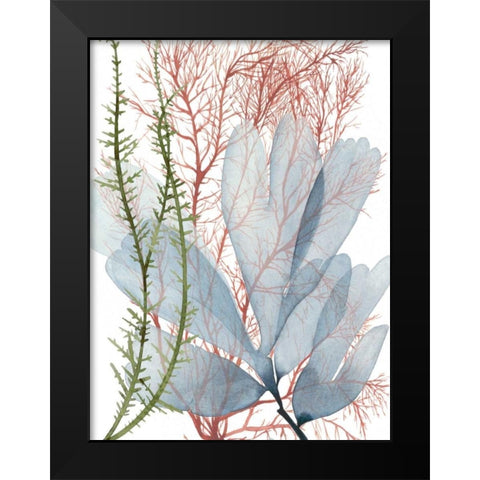 Seaweed Flow I Black Modern Wood Framed Art Print by Popp, Grace
