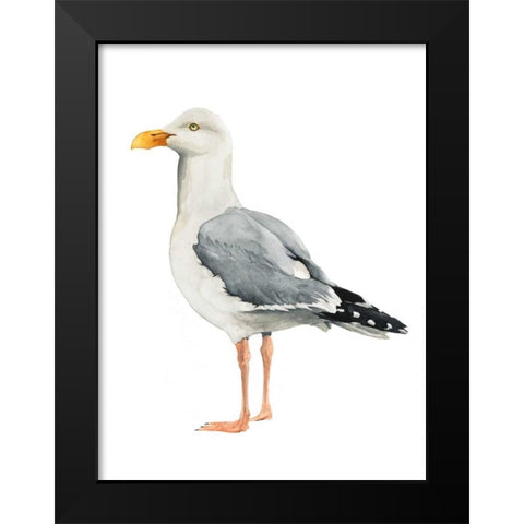 Sea Bird II Black Modern Wood Framed Art Print by Popp, Grace