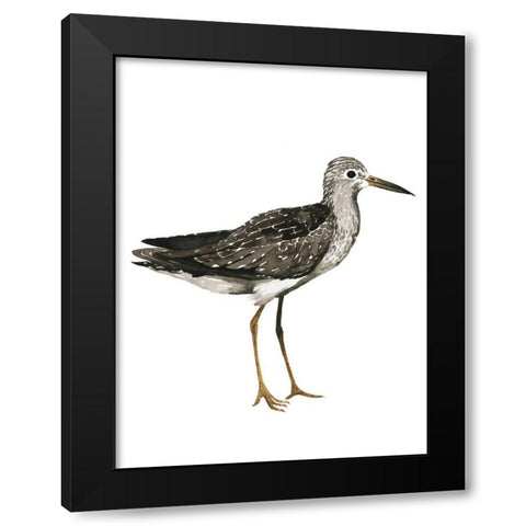 Sea Bird III Black Modern Wood Framed Art Print by Popp, Grace