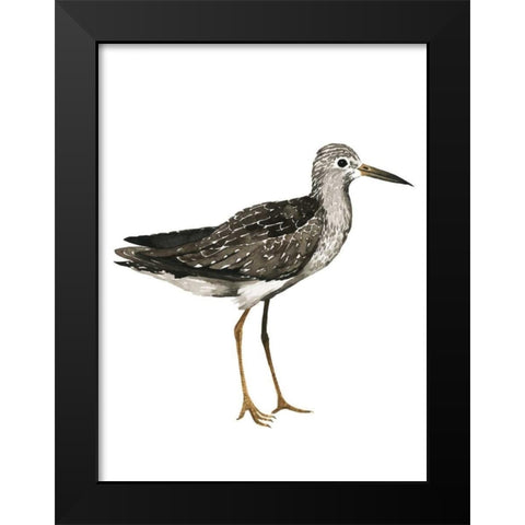Sea Bird III Black Modern Wood Framed Art Print by Popp, Grace